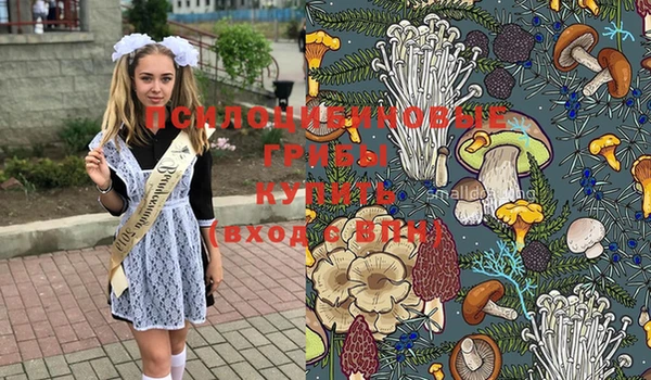 герыч Иннополис