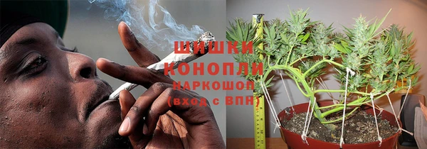 спиды Инта