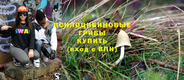 герыч Иннополис
