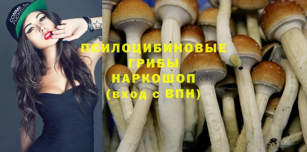 герыч Иннополис