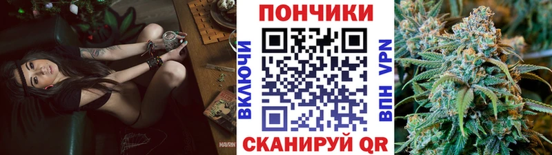 Купить Инза Бошки марихуана Amnesia